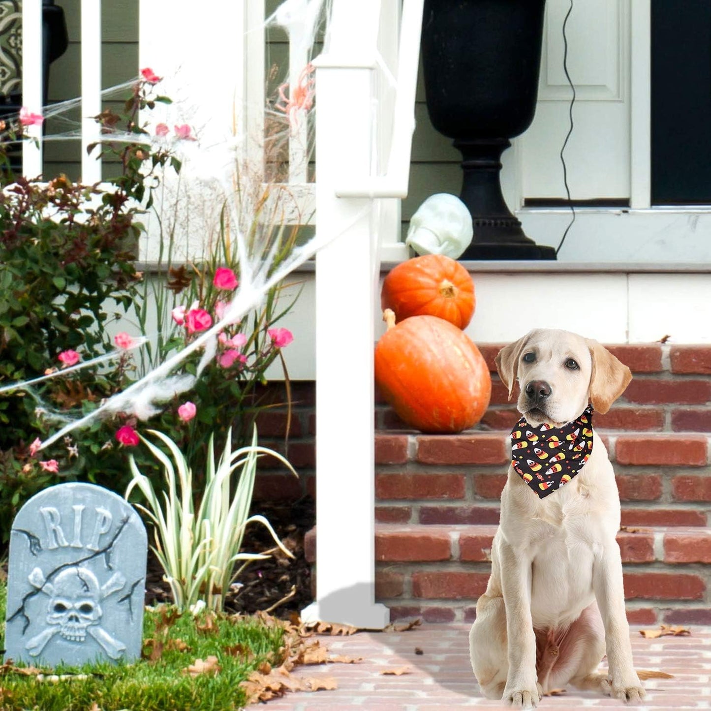 5 Pack Halloween Dog Bandanas, Triangle Pet Scarfs Washable Pet Neckerchief Dog Bibs, Pumpkin, Ghost, Candy Corn and Bones Pet Bandanas Medium