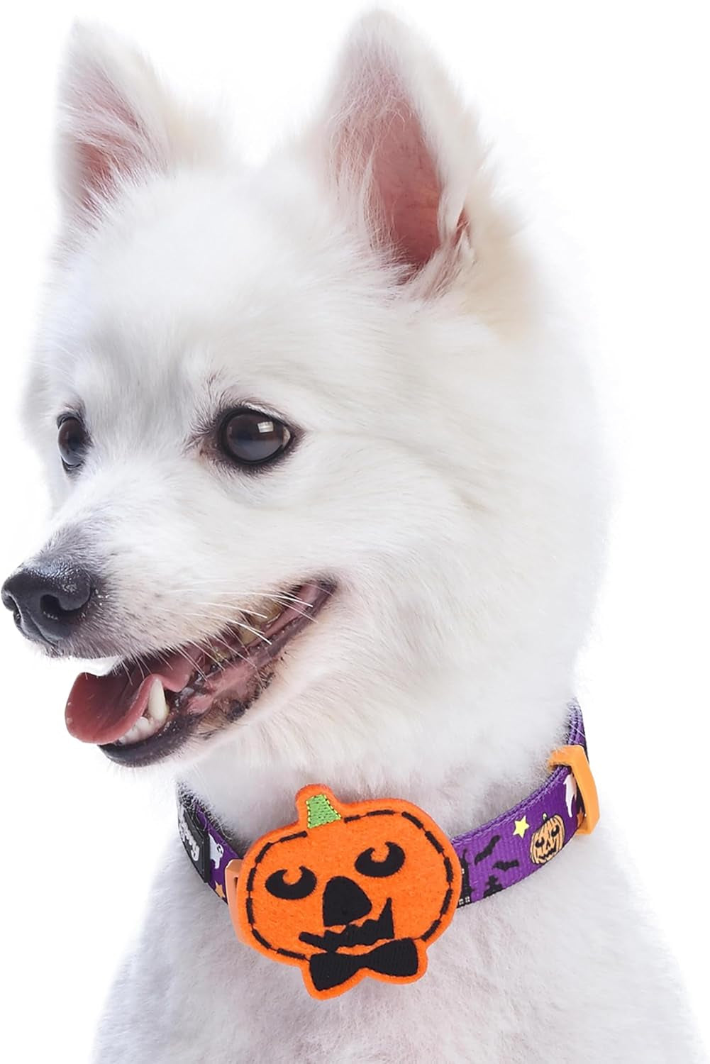 8 Patterns Halloween Darkness Deserted Castle Designer Adjustable Dog Collar with Decoration, Small, Neck 12"-16"