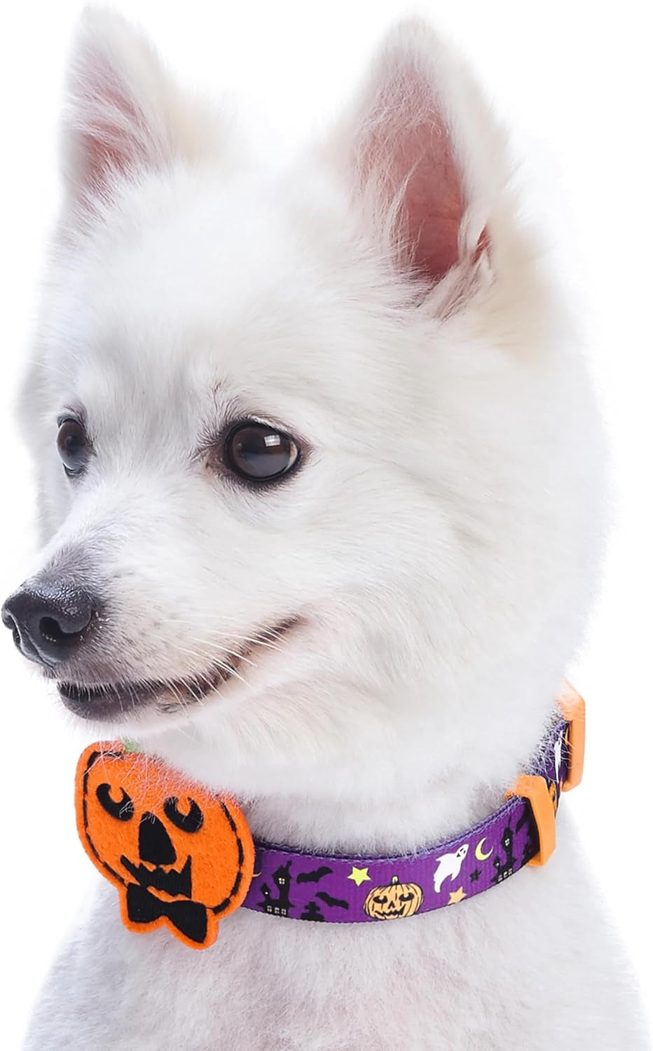 8 Patterns Halloween Darkness Deserted Castle Designer Adjustable Dog Collar with Decoration, Small, Neck 12"-16"