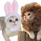 2 Pack Lion Mane Wig Costume for Cat Costume Bunny Rabbit Hat Headwear with Ears Pet Cosplay Dress up Halloween Party Costume Accessories for Cats & Small Dogs