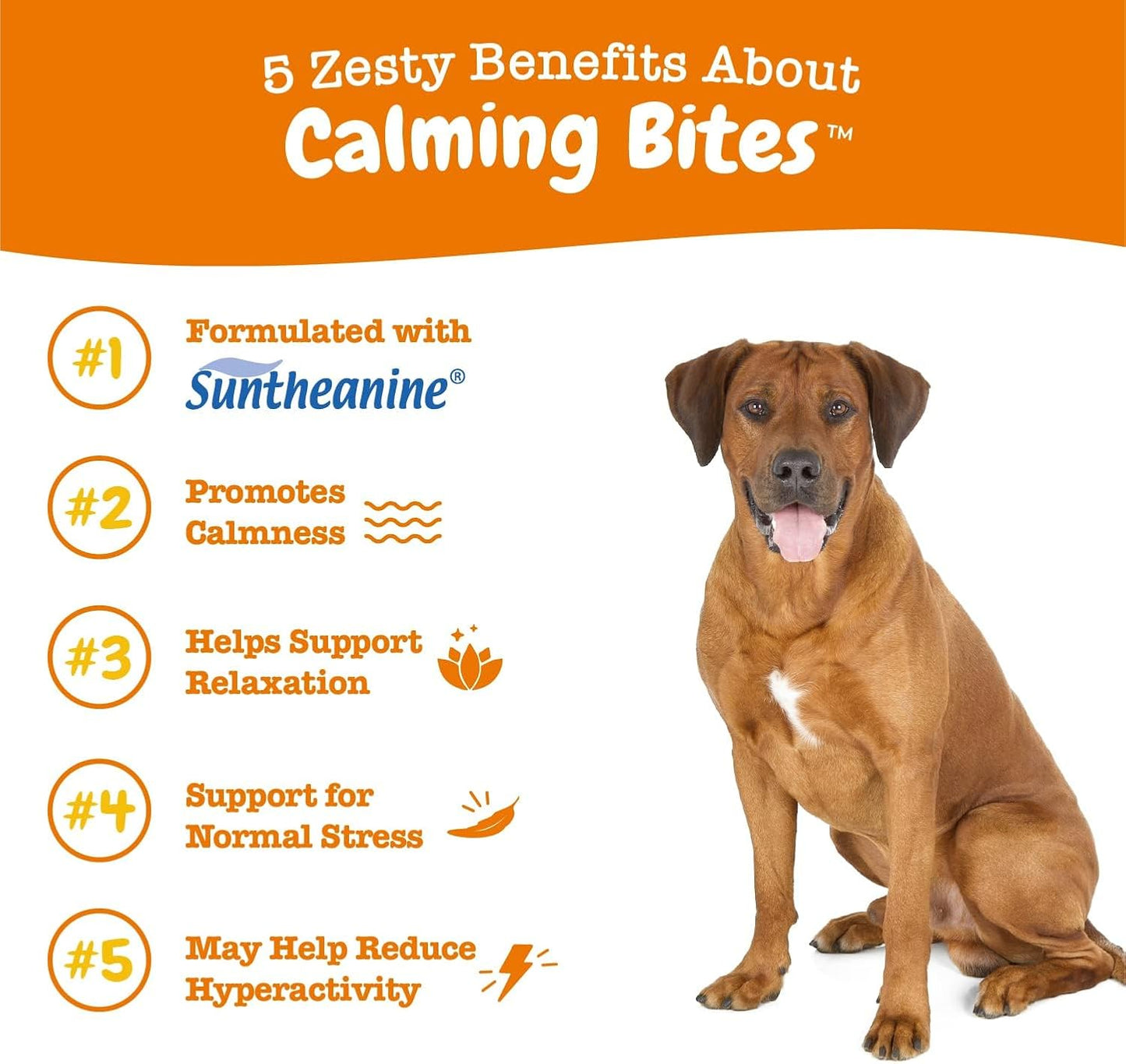 Calming Chews for Dogs Composure & Relaxation for Everyday Stress & Separation Peanut Butter 90 Count