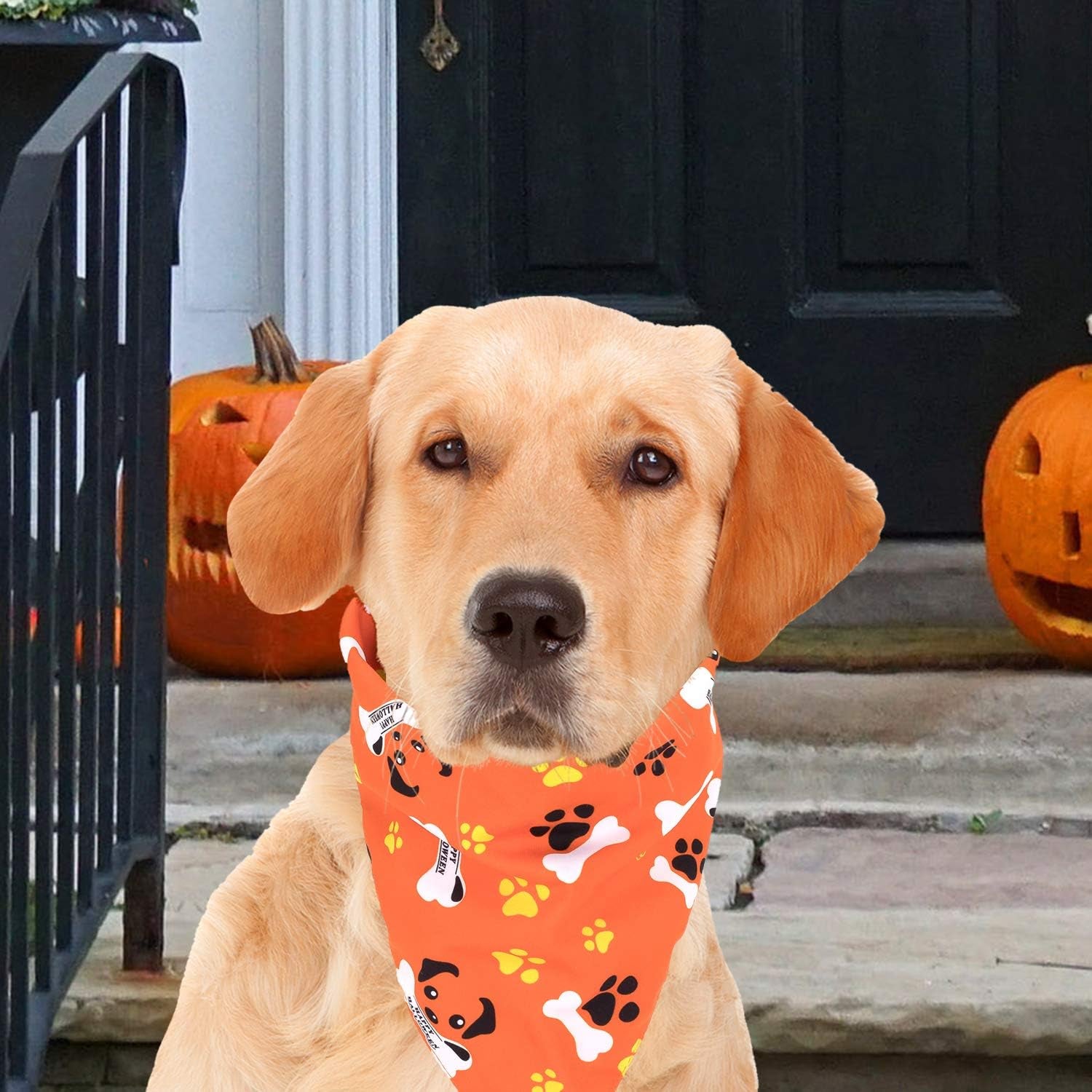 5 Pack Halloween Dog Bandanas, Triangle Pet Scarfs Washable Pet Neckerchief Dog Bibs, Pumpkin, Ghost, Candy Corn and Bones Pet Bandanas Medium